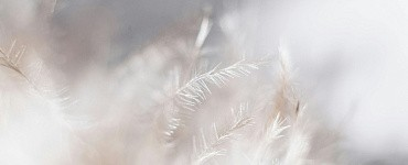 Главный метролог