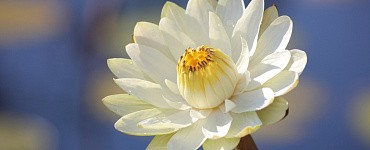 Анти-невроз. Живу без плохого настроения