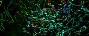 Начальник участка по инженерным сетям