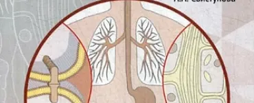 Фармакология. Атлас