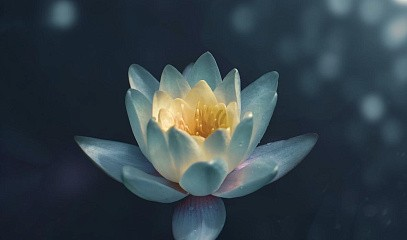 Марафон «Медитации света»