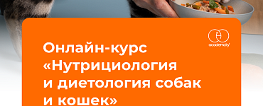 Нутрициология и диетология собак и кошек