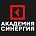 Академия «Синергия»