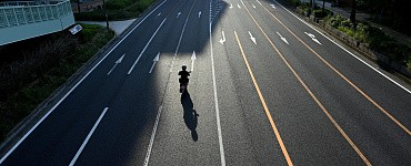 Организация дорожного движения