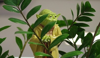 Вебинар «Как стать коучем с международной аккредитацией»