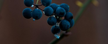 Сервис аналитики Stat4Market