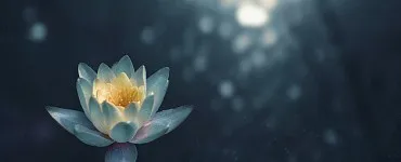 Антистресс