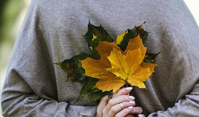 Мастер-класс «Как превратить листья цветов в прибыльное хобби»