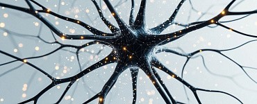 Как нутрициологу превратить ИИ в личного помощника и маркетолога?