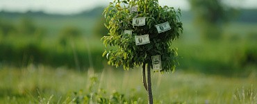 Как купить землю у государства со скидкой до 97%