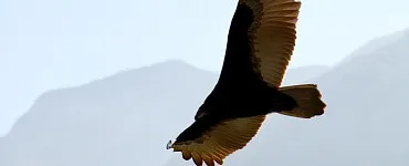 Личностные границы