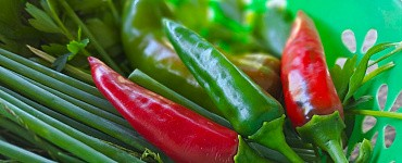 Агротуризм