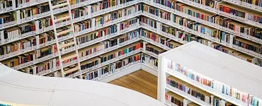 Пруст, Камю и Сартр: как понять французскую литературу