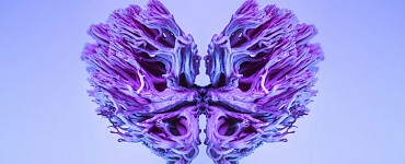 Супермозг: острый ум и цепкая память