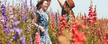 Здесь и сейчас