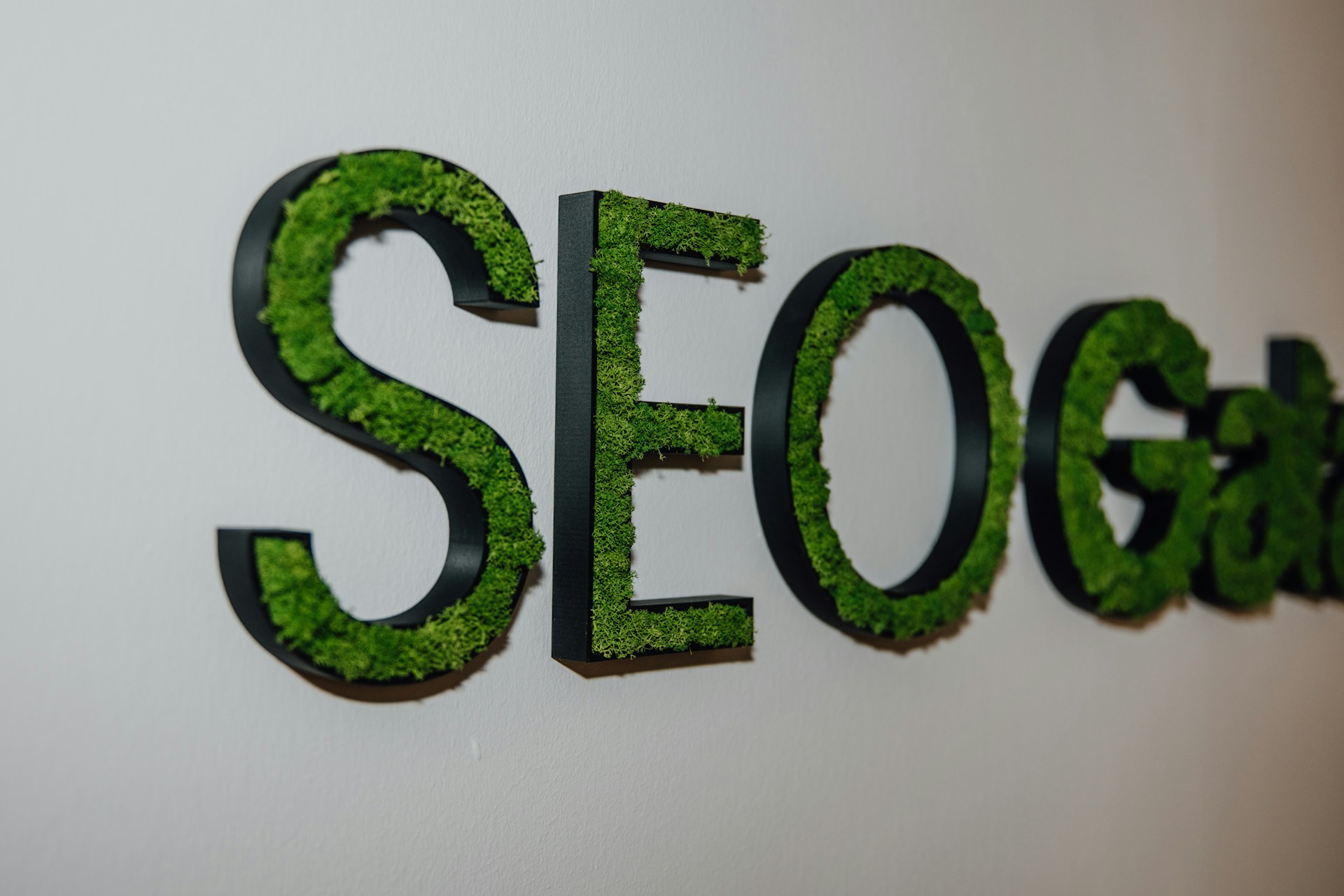 Профессия «SEO-специалист 2.0» — Salid · Средний