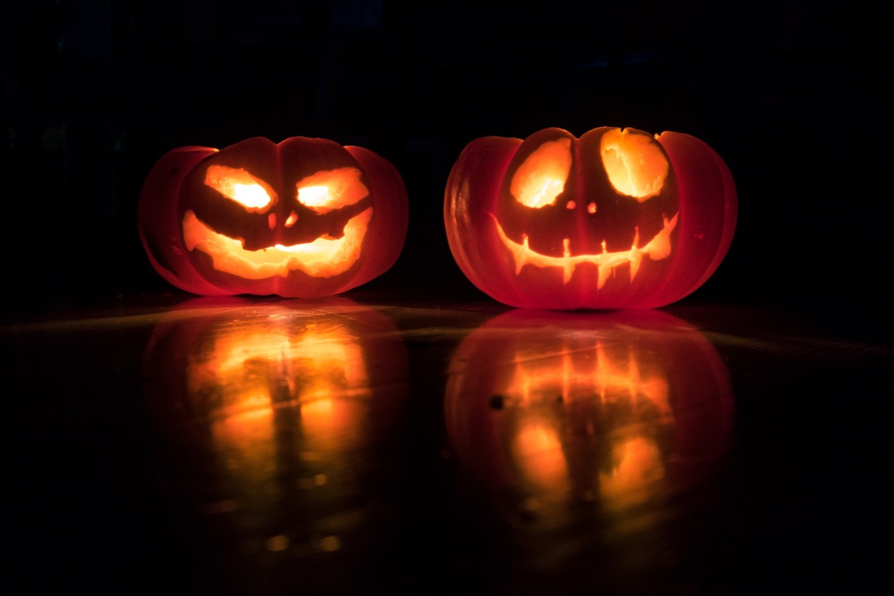 Мини-курс «Trick or Senseat: Halloween» — Salid