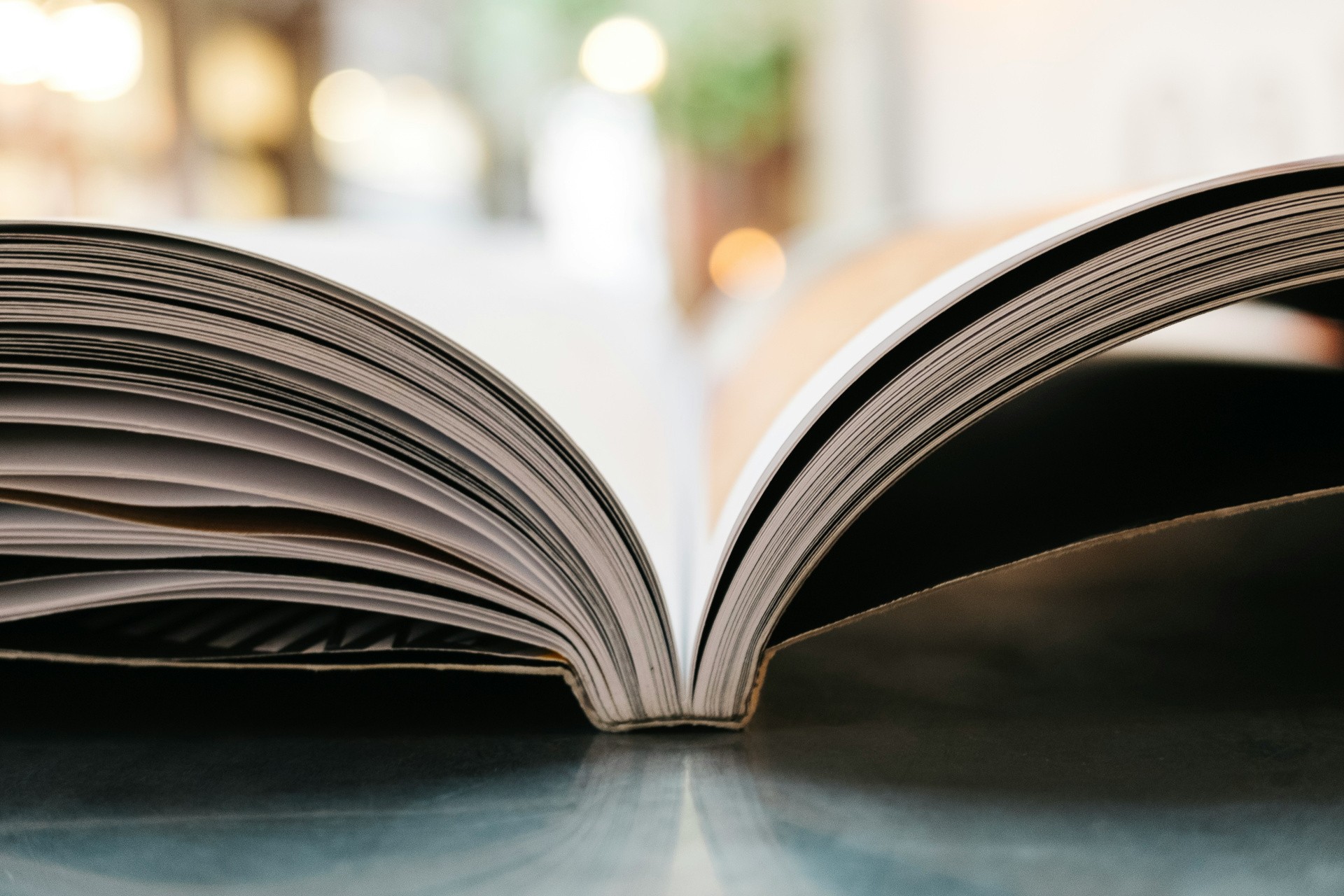 Электронная книга «Правила игры» — Salid