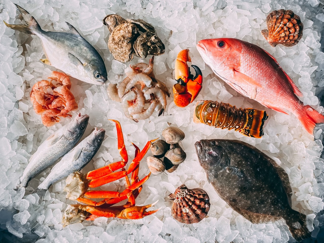 Гайд «Морепродукты» — Salid