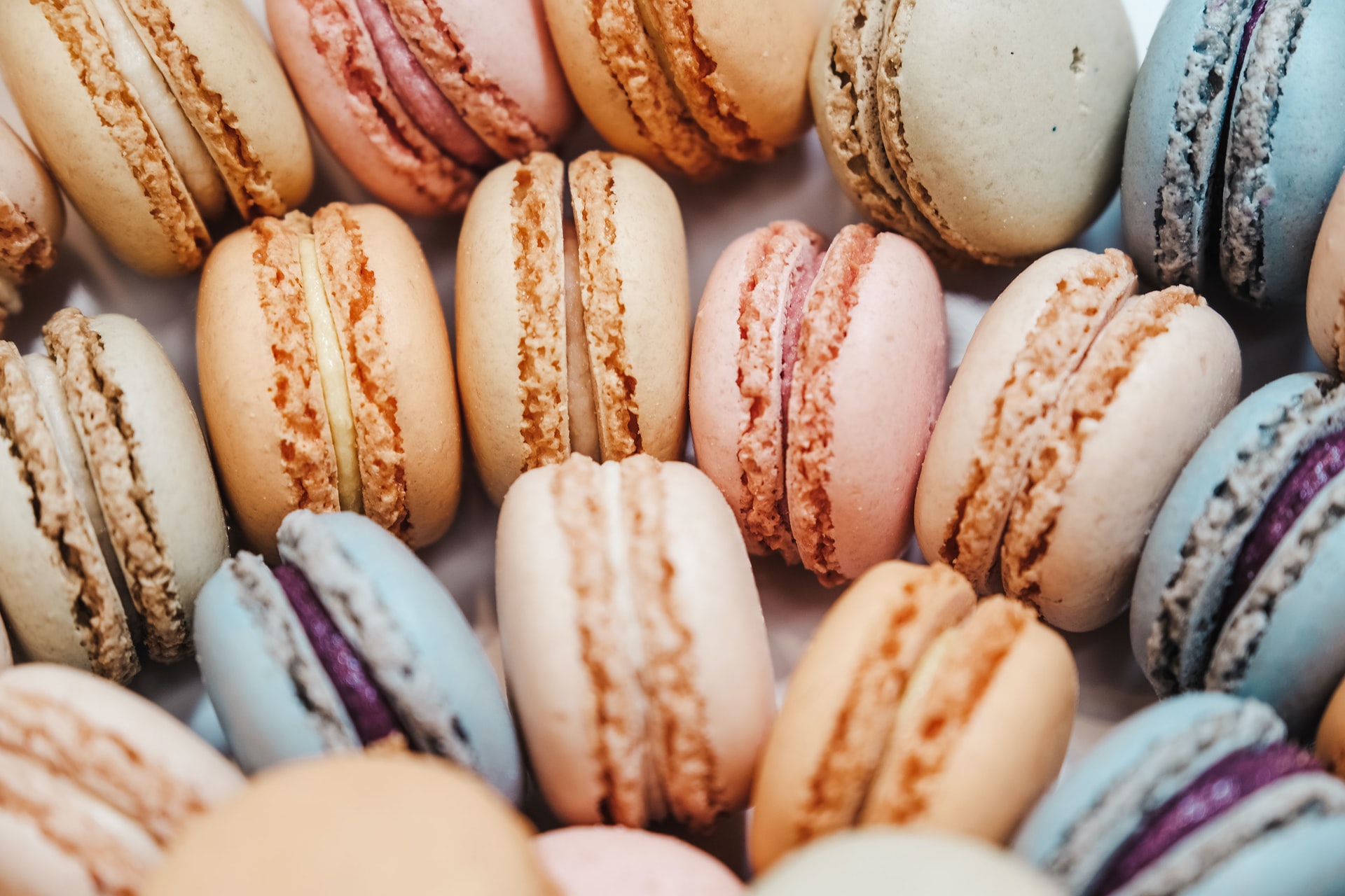 Курс «Macarons 2.0» — Salid