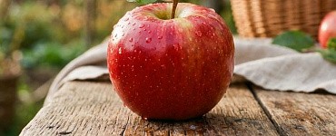 Вебинар «Нутрициология красоты: как работать с запросом на вечную молодость»