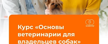 Основы ветеринарии для владельцев собак