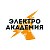Онлайн-школа «Электро Академия»