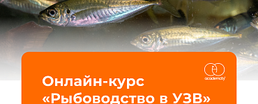 Рыбоводство в УЗВ