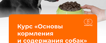 Основы кормления и содержания собак