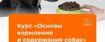 Основы кормления и содержания собак