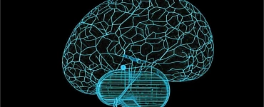 Нейросети для жизни: как повысить личную эффективность