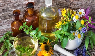Вебинар «Лекарственные растения и эфирные масла как помощь при коррекции различных заболеваний»