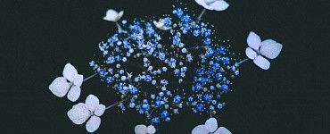 Как вернуть энергию