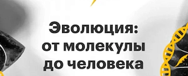 Эволюция: от молекулы до человека