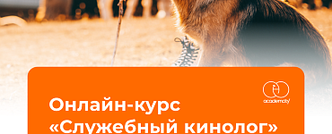 Онлайн-курс «Служебный кинолог»