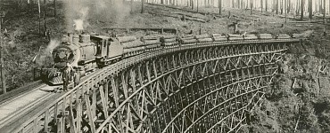 Ревизор по безопасности движения