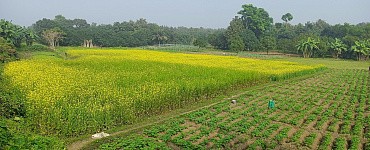 Защита растений