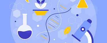 Учитель биологии и химии