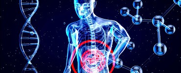 Энергия начинается с кишечника: как вернуть силы за 5 простых шагов