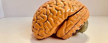 Развитие мышления