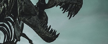 Кто настоящие потомки динозавров?