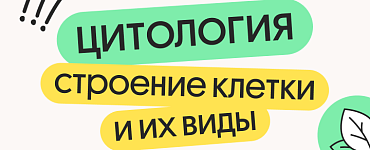 Цитология. Строение клетки и их виды
