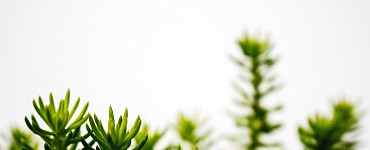 Инженерные изыскания