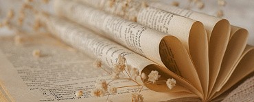 Как создать интерактивную книгу с эффектом перелистывания страниц