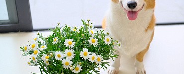 Привлечение денег в свою жизнь