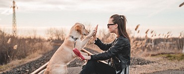 Догвартс: занятия с собаками не по-детски