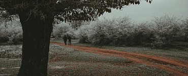 История тяжелых времен