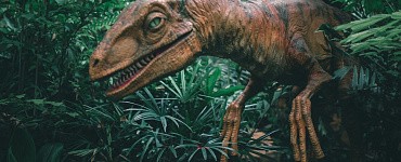 Все ли динозавры вымерли?