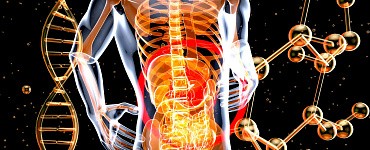 Целостные движения