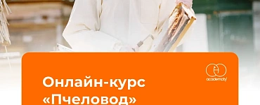 Онлайн-курс «Пчеловод»